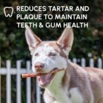 Downtown Pet Supply Best Free Range 6 In American Bully Sticks for Dogs Made in USA - Odorless Dog Dental Chew Treats, High in Protein, Great Alternative to Rawhides (6 In, 5 Pack) - Image 7