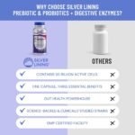Silver Lining Prebiotics & Probiotics for Women & Men + Digestive Enzymes – Debloat Digestion Supplement for Gut Health, Prebiotic and Probiotic in One for Travel & Immune Support, 120 Capsules - Image 6