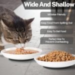 Cat Food Bowls, Whisker Friendly Ceramic Cat Bowls with Nonslip Silicone Bottom, Pack of 3 Quiet Cat Dishes and Plates for Feeding Indoor Cats, Kittens and Small Dogs（Fishbone） - Image 6