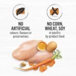 Beyond Grain Free Natural Dry Cat Food, Farm-Raised Chicken & Egg - 1.36 kg Bag - Image 8