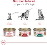 Royal Canin Instinctive 7+ Vitality Support, Pack of 24, 3-ounce cans [Misc.] - Image 6