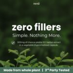 Herba Chanca Piedra Extract - 180 Capsules | 5,000mg Equivalent | 10:1 Extract from 500mg | Spanish for "Stone Breaker" | Made in Canada - Image 6