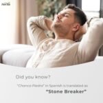 Herba Chanca Piedra Extract - 180 Capsules | 5,000mg Equivalent | 10:1 Extract from 500mg | Spanish for "Stone Breaker" | Made in Canada - Image 9