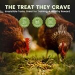 Black Soldier Fly Larvae for Chickens & Ducks – 2lb Dried Worms & Grubs – High Protein & Calcium Mealworms Alternative – Dried Black Fly Larvae – Non-GMO, Farmed in Canada - Image 3