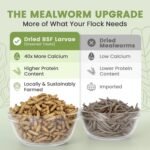 Black Soldier Fly Larvae for Chickens & Ducks – 2lb Dried Worms & Grubs – High Protein & Calcium Mealworms Alternative – Dried Black Fly Larvae – Non-GMO, Farmed in Canada - Image 5