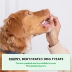 Open Farm, Dehydrated Dog Treats, High Protein & Low Carbohydrate Dog Snacks, Chewy Texture, Made with Ethically & Sustainably Sourced Ingredients, Pork Recipe, 4.5oz Pouch - Image 3