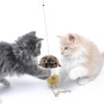 Cat Toys for Indoor Toys,Rainbow Cat Wand Toys,Feather Flips Plush Ball Cat Toys,Interactive Feather Toy for Teaser Play and Chase Exercise with Kitten 3 Pack (Design) - Image 8