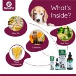 NaturPet Ear Drops for Dogs & Cats | Use for Cleaning, Prior to Swimming, Stinky, Smelly Ears, Itchy Ears | All Natural Herbal Drops 10mL - Image 4