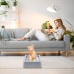 Stainless Steel Reusable Litter Tray Compatible with Pet-Safe Scoop-Free Self-Cleaning Cat Litterbox - Never Absorbs Odor, Stains, or Rusts - Easy Cleaning Litter Tray Replacement - Image 7
