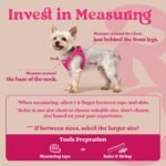 rabbitgoo Dog Harness Small Breed, Step-in Soft Mesh Puppy Vest with Safety Buckle, Breathable Reflective No Pull Pet Harness for Small Sized Dogs, Rose Red S - Image 3