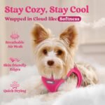 rabbitgoo Dog Harness Small Breed, Step-in Soft Mesh Puppy Vest with Safety Buckle, Breathable Reflective No Pull Pet Harness for Small Sized Dogs, Rose Red S - Image 4