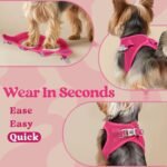 rabbitgoo Dog Harness Small Breed, Step-in Soft Mesh Puppy Vest with Safety Buckle, Breathable Reflective No Pull Pet Harness for Small Sized Dogs, Rose Red S - Image 6