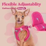 rabbitgoo Dog Harness Small Breed, Step-in Soft Mesh Puppy Vest with Safety Buckle, Breathable Reflective No Pull Pet Harness for Small Sized Dogs, Rose Red S - Image 7