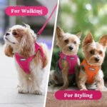 rabbitgoo Dog Harness Small Breed, Step-in Soft Mesh Puppy Vest with Safety Buckle, Breathable Reflective No Pull Pet Harness for Small Sized Dogs, Rose Red S - Image 10