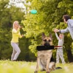 Dog Bite Rag,Dogs Interactive Toy Dog Leather Bite Rag Ropes Toys Soft Leather Training Tug with Handle Leather Puppy Bite Rag for Small to Medium Sized Dogs - Image 5