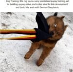 Dog Bite Rag,Dogs Interactive Toy Dog Leather Bite Rag Ropes Toys Soft Leather Training Tug with Handle Leather Puppy Bite Rag for Small to Medium Sized Dogs - Image 6