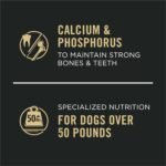 Purina Pro Plan Large Breed Wet Dog Food, Chicken & Rice Entree Chunks in Gravy - 368 g Can (12 Pack) - Image 6