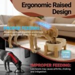Elevated Dog Bowl & Cat Dish 27oz – Raised Ceramic Pet Food and Water Bowls with Bamboo Stand, Feeding Station for Small & Medium Pets, Prevents Neck Strain – Durable, Premium Quality - Image 6