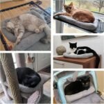 Cat Bed Washable Indoor Cat Cushion Bed, Soft and Cozy Plush Pet Bed-S - Image 3