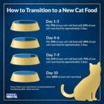 INABA Churu Entrée Pate for Cats, High Moisture, Prebiotic Wet Cat Food, 49 Grams per Pouch, 6 Pouches, Chicken with Salmon Recipe - Image 8