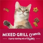 Friskies Party Mix Cat Treats, Mixed Grill Crunch with Real Chicken - 454 g Cannister (1 Pack) - Image 9