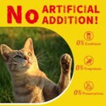 Just Try 16 OZ Cat Treats for Indoor Cats, High Protein Low-Calorie Cat Snacks, Healthy Crunchy Treats, Grain Free Natural Chicken Flavor - Image 10