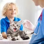 4pcs Plastic Syringe with 13inch Tube for Liquids, Oral, Scientific Labs, Measuring, Dispensing, animal feeding, pouring plants, including 2pc of 20ml and 60ml Syringes - Image 7