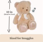 Baby GUND My First GUND Teddy Bear, Ultra Soft Animal Plush Toy for Babies and Newborns, Tan, 10” - Image 3