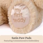 Baby GUND My First GUND Teddy Bear, Ultra Soft Animal Plush Toy for Babies and Newborns, Tan, 10” - Image 6