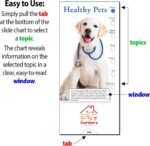 ZOCO - Healthy Pets Slide Chart - Custom Promotional Item (Pack of 250) - Tips on Diet, Grooming, Veterinary Cares - Veterinarians, Pet Stores, Animal Shelters Handout, Brochure - 3.75 x 8.5 in. - Image 5