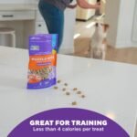 Outward Hound by Nina Ottosson Puzzle Bitez USA Made Dog Treats, Peanut Butter Flavor, Bite-Sized Training Reward and Interactive Puzzle Toy Treats, 7.5oz - Image 6