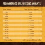 Merrick Grain Free Wet Dog Food, 12.7 oz, 12 Count case - Image 10