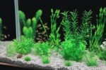 MyLifeUNIT Aquarium Plants, 20 Pack Artificial Fish Tank Plants for Aquarium Decorations (Green) - Image 5
