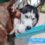 Dog Water Bottle, Portable Pet water Dispenser for Dog, Leakproof Travel Pet Feeder for Small & Medium & Large Dogs, Cats, Puppy, Small Animal for Outdoor Walking, Hiking (19OZ Blue) - Image 7