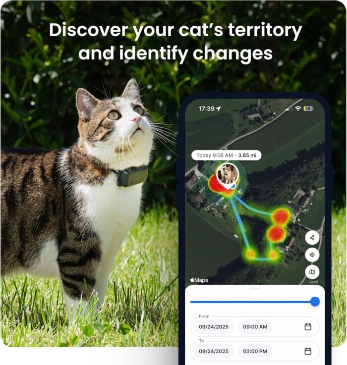 Tractive Smart Cat GPS Tracker | Real-Time Location & Wellness ...