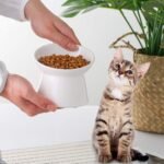 Small Ceramic Raised Cat Bowls - Tilted Elevated Cat Food Bowl - Anti Vomiting Cat Feeding Bowls - Stress Free Shallow Cat Bowl - 4.7 inch Cute Kitten Bowls - Microwave and Dishwasher Safe - 4.4 oz - Image 5