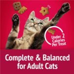 Friskies Party Mix Cat Treats, Mixed Grill Crunch with Real Chicken - 510 g Cannister (3 Pack) - Image 7