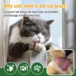 100g Cat Grass Teething Sticks, Edible Natural Dried Cat Grass Treats, CatSnack for Hairball Removal and Dental Care - Image 5