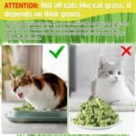 100g Cat Grass Teething Sticks, Edible Natural Dried Cat Grass Treats, CatSnack for Hairball Removal and Dental Care - Image 7