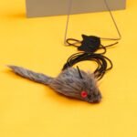 Cat Toys for Indoor Toys,Rainbow Cat Wand Toys,Feather Flips Plush Ball Cat Toys,Interactive Real Feather Cat Toy for Teaser Play and Chase Exercise with Kitten 5 Pack (Color) - Image 5