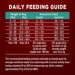 Purina ONE True Instinct High Protein Dry Dog Food, Salmon & Tuna - 12.4 kg Bag (1 Pack) - Image 12