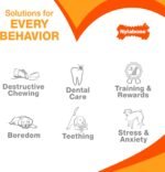 Nylabone Textured Bone, Small Dog Chew Toy, Natural, Regular/Small - Image 7