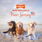 Nylabone Textured Bone, Small Dog Chew Toy, Natural, Regular/Small - Image 8