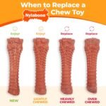 Nylabone Textured Bone, Small Dog Chew Toy, Natural, Regular/Small - Image 9