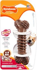 Nylabone Textured Bone, Small Dog Chew Toy, Natural, Regular/Small - Image 10