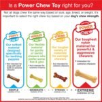 Nylabone Textured Bone, Small Dog Chew Toy, Natural, Regular/Small - Image 11