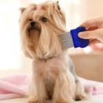 6 Different Types of Pet Flea Removal Combs,Efficient Cleaning of Tangles,Dirt,Fleas,Lice,and Ticks, Suitable for All Pets. - Image 8