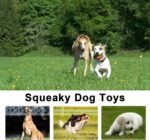 Legend Sandy 14 Pack Dog Squeaky Toys Cute Stuffed Plush Fruits Snacks and Vegetables Dog Toys for Puppy Small Medium Dog Pets - Image 8