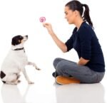 Legend Sandy 14 Pack Dog Squeaky Toys Cute Stuffed Plush Fruits Snacks and Vegetables Dog Toys for Puppy Small Medium Dog Pets - Image 9