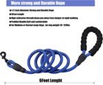 6FT/10FT Strong Dog Leashes with Comfortable Padded Handle and Highly Reflective Threads for Small Medium and Large Dogs(6 Feet x1/2'' (Pack of 1), Blue) - Image 3